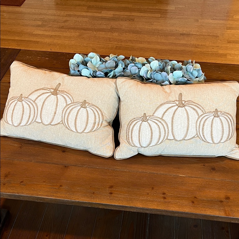 Autumn Pumpkin Embroidered Pillows